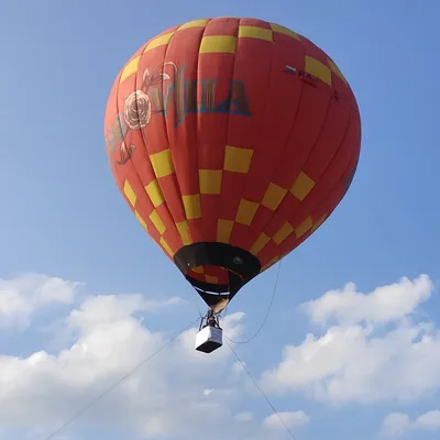 Большой воздушный шар \"Цифра\" на подставке, фольгированный надувной шарик  на день рождение купить по низким ценам в интернет-магазине Uzum (763362)