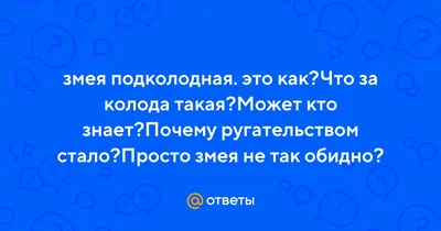 Пригреть на груди… или змея в доме – мифы и правда