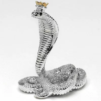 Змея с короной на голове (28 фото) | Змея, Королевский питон, Королевская  кобра