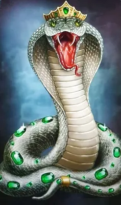 Змея в короне картинки - 64 фото