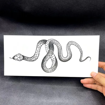 Изображение женщины с змея тату на руке Стоковое Изображение - изображение  насчитывающей питон, черный: 196206517