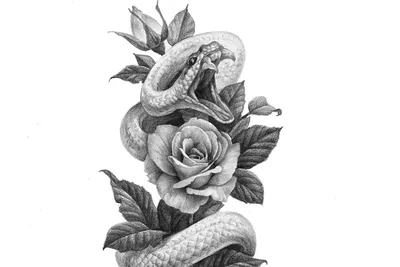 Tattooshka Временное тату \"Змея и цветы\" - купить, цена, отзывы - Icosmo