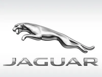 Эмблема Jaguar Англия - Бесплатное фото на Pixabay - Pixabay