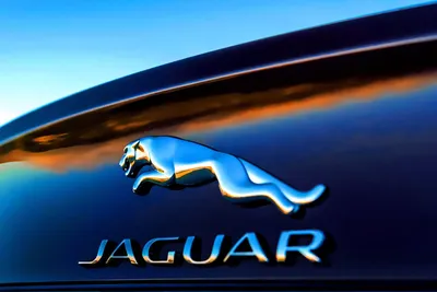 Эмблема / значек для Jaguar • Купить в УКРАИНЕ из Польши