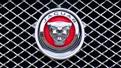 Значок на капот Jaguar 175мм S-TYPE X-TYPE XJ XF XE Ягуар логотип  (ID#1801260790), цена: 1450 ₴, купить на Prom.ua