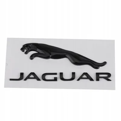 HK83-404D52-BA - JAGUAR F-PACE ЭМБЛЕМА ЗНАЧОК ЛОГОТИП JAGUAR купить на  Avtoex из Польши в Украине - Львов, Одесса, Запорожье, Тернополь, Харьков,  Днепр, Винница, Суммы, Николаев, Черновцы, Мариуполь.