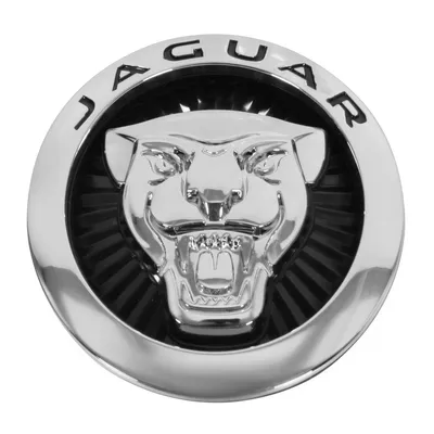 Значок на капот Jaguar 165 мм S-TYPE X-TYPE XJ XF XE Ягуар логотип  (ID#1716030411), цена: 1399 ₴, купить на Prom.ua