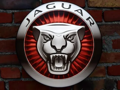 Купить с доставкой Jaguar значок эмблема наклейка - 1 . 8cm / 20cm в Украине