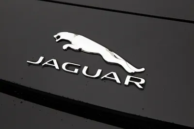 Jaguar значок логотипом заглушка в решотка под distronic радар система  контроля дистанции Фото △ Оригинал