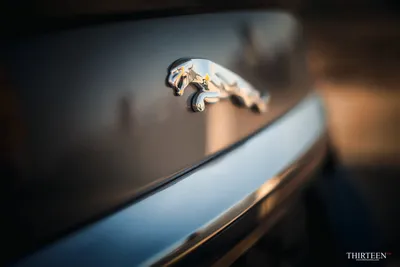 YourCar Эмблема значок на Jaguar металлизированная