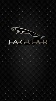 Значок на капот Ягуар RS KTJ-0002 Jaguar для XF XJ XK X type S type Ягуар  логотип (ID#1449249099), цена: 1800 ₴, купить на Prom.ua