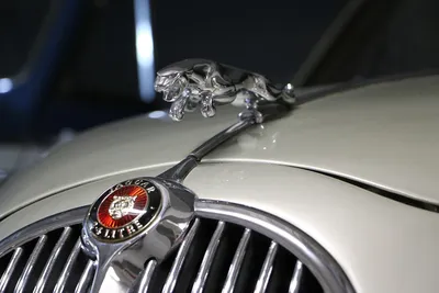 Значок руля — Jaguar X-Type, 2,1 л, 2005 года | просто так | DRIVE2