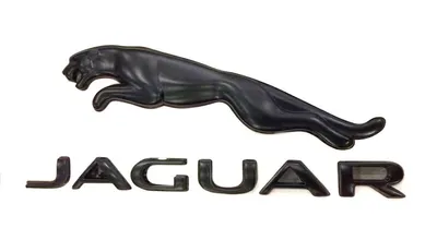 Как создавалась эмблема ягуар:) — Jaguar XJ Mark 4, 3 л, 2013 года | прикол  | DRIVE2