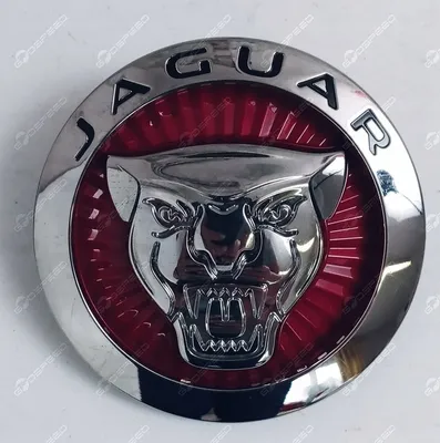 JAGUAR Front Grille Emblem F-Type F-Pace XE XF XFR XFR-S XJ XJR XJR575  2014-2019 | eBay