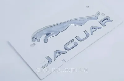 Значок Jaguar S Type X type 2000-2009: 2 000 грн. - Наклейки, эмблемы,  значки Софиевская Борщаговка на Olx