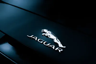 Купить jaguar эмблема значок черный мат 94x20mm в УКРАИНЕ, Киеве