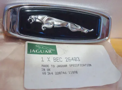 Значок руля — Jaguar X-Type, 2,1 л, 2005 года | просто так | DRIVE2
