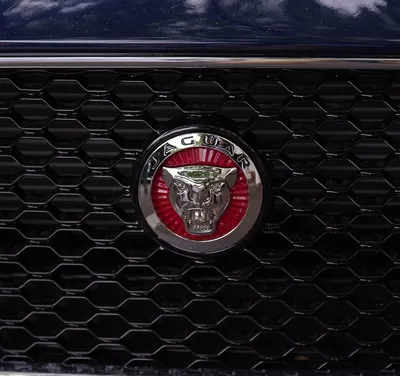 Стайлинга Автомобилей Авто Эмблема Значок Наклейка Для Jaguar R Логотип X  TYPE F TYPE S TYPE XE XF XJ XK XJR XFR Автомобильные Аксессуары241p От 3  907 руб. | DHgate