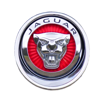 Эмблема Jaguar кошка + надпись черная - купить по выгодным ценам в  интернет-магазине OZON (206514746)