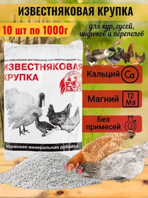 Болезни домашних кур: симптомы и лечение куриных заболеваний