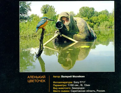 Золотая подвеска с фианитами SERGEY GRIBNYAKOV 320100089*: розовое золото  585 пробы, фианит — купить в интернет-магазине SUNLIGHT, фото, артикул  284211