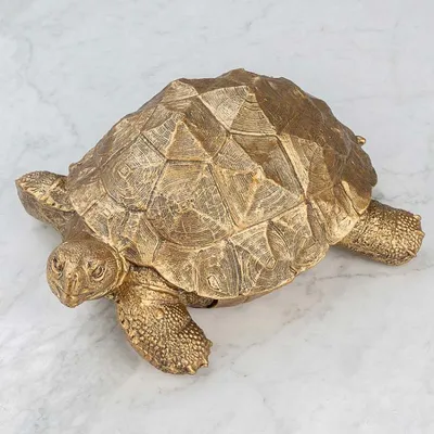 Статуэтка Antique Gold Turtle, Chehoma | Home Concept