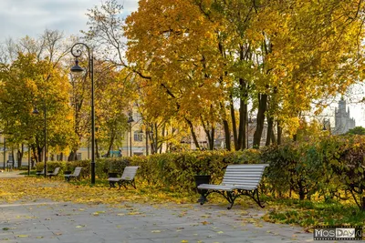 Москва | Фотографии | №38.2859 (Золотая осень)