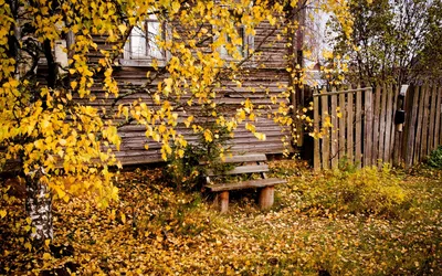 Старый домишко на фоне золотой осени - обои на рабочий стол