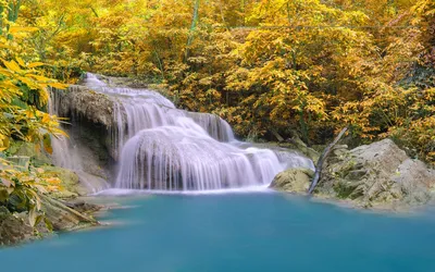 Фотообои Водопад в золотой осени | Купить в Москве, низкие цены,  интернет-магазин Artpolygraf