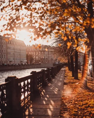 Осень в городе картинки - 69 фото