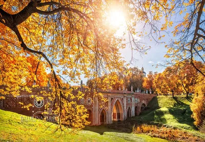 Золотая осень в Царицыно - фото и картинки: 47 штук