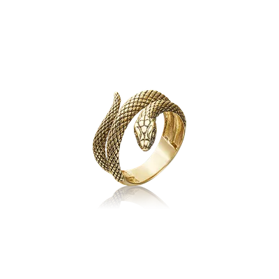 Золотое кольцо змея фотографии