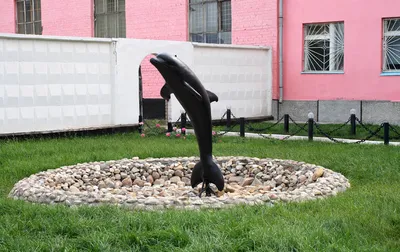 Территория монстров «Черный Дельфин» — самая страшная тюрьма России. -  YouTube