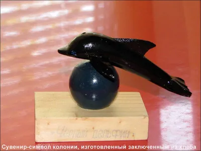 У россиян появилась странная примета, чтобы любить пожизненно: «Черный  дельфин» - МК