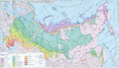 Природные зоны России и их рекреационный потенциал