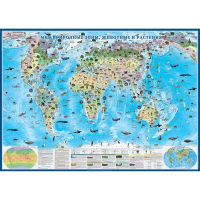 Карта настенная Атлас Принт Мир. Природные зоны животные и растения  1.43x1.02м купить по цене 803 ₽ в интернет-магазине Детский мир