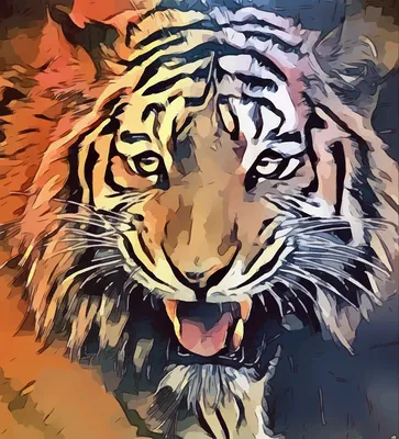 Фото тигр Клыки Зубы Сбоку головы Животные 2048x1366