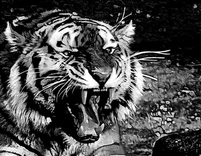 Бусина дзи Волна и Зубы тигра / бочонок - Бусины дзи | Лавка Желаний