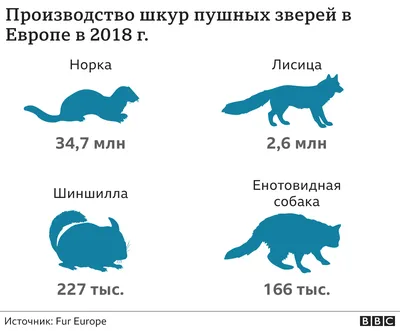 Коричневая норка - 43 фото