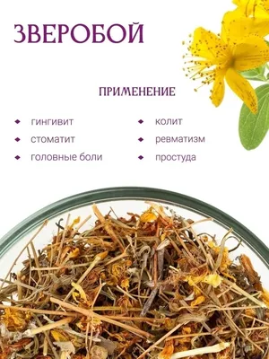 Зверобой продырявленный трава сушеная чай травяной сбор Травы Горного Крыма  8848022 купить за 220 ₽ в интернет-магазине Wildberries