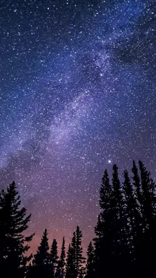 Звездное небо заставка - фото и картинки: 59 штук