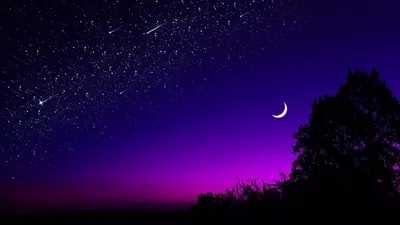 Картинка природа. Луна, дерево, звездное небо. | Night sky wallpaper,  Landscape wallpaper, Dark wallpaper