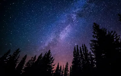Картинка Звездное небо над лесом » Звездное небо картинки скачать бесплатно  - Картинки 24 » Картинки 24 - скачать картинки бесплатно