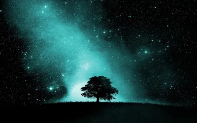 Дерево на фоне звездного неба - 45 фото