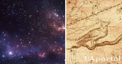 В Египте обнаружили древнейшую в мире карту звездного неба – фото