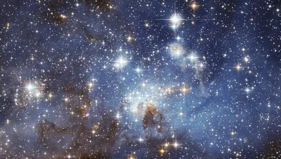Звезды состоят из газов и пыли – Статьи на сайте Четыре глаза