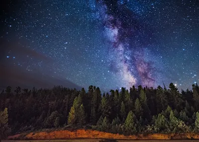 Фото Звезды Млечный Путь Природа лес Небо Ночные